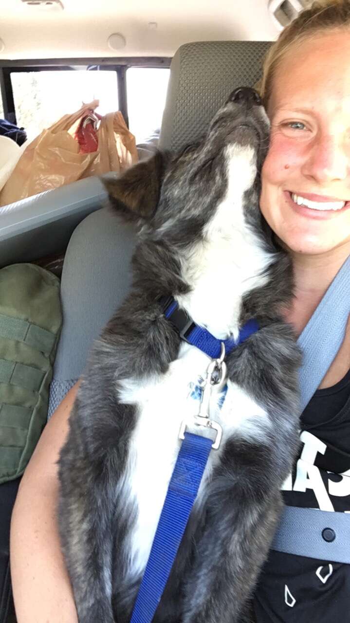 couple adopts dog on road trip