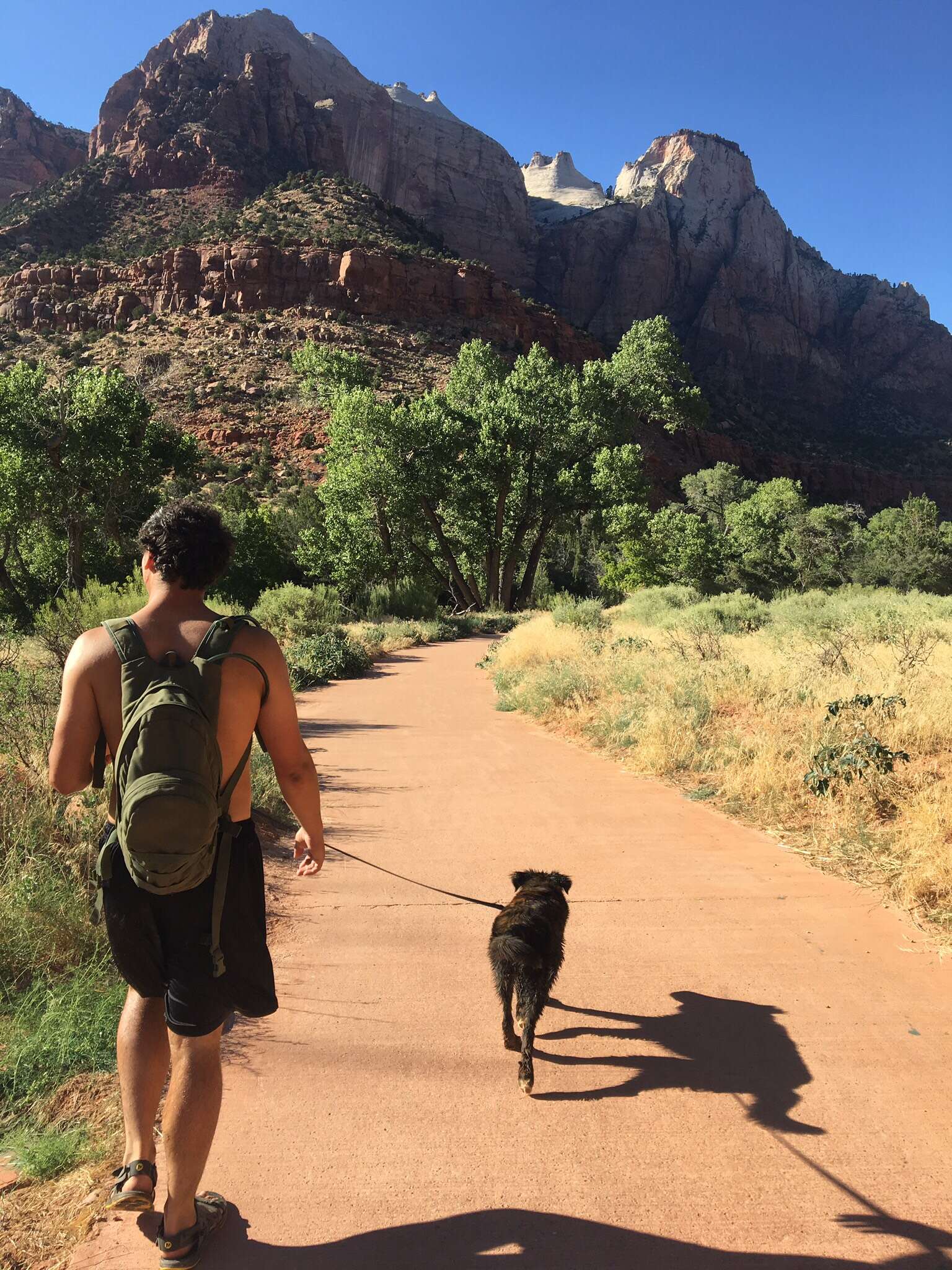 couple adopts dog on road trip