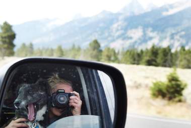 couple adopts dog on road trip