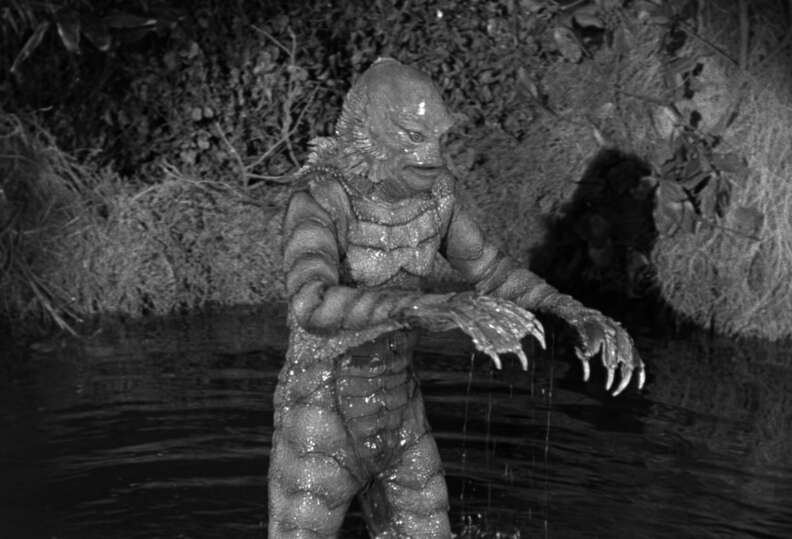 The Gill-Man 