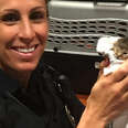 Cop Keeps Fostering All The Abandoned Kittens She Finds On Her Shifts