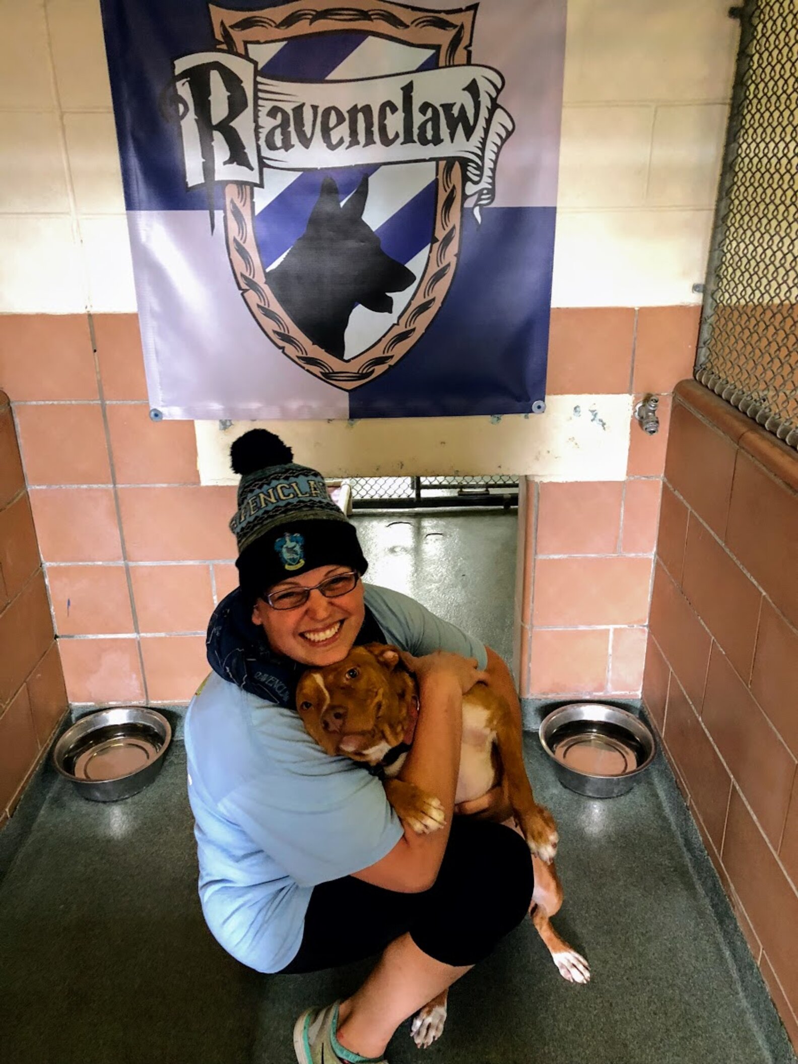 Shelter Is Sorting Dogs Into Hogwarts Houses To Help Them Get Adopted