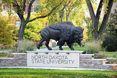 North Dakota State University