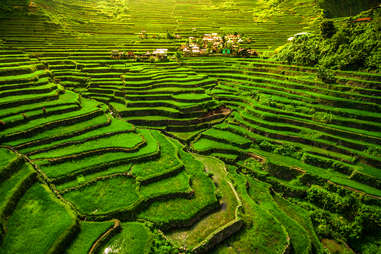 Batad Rice Terraces