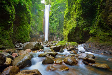 the island of Negros, Philippines