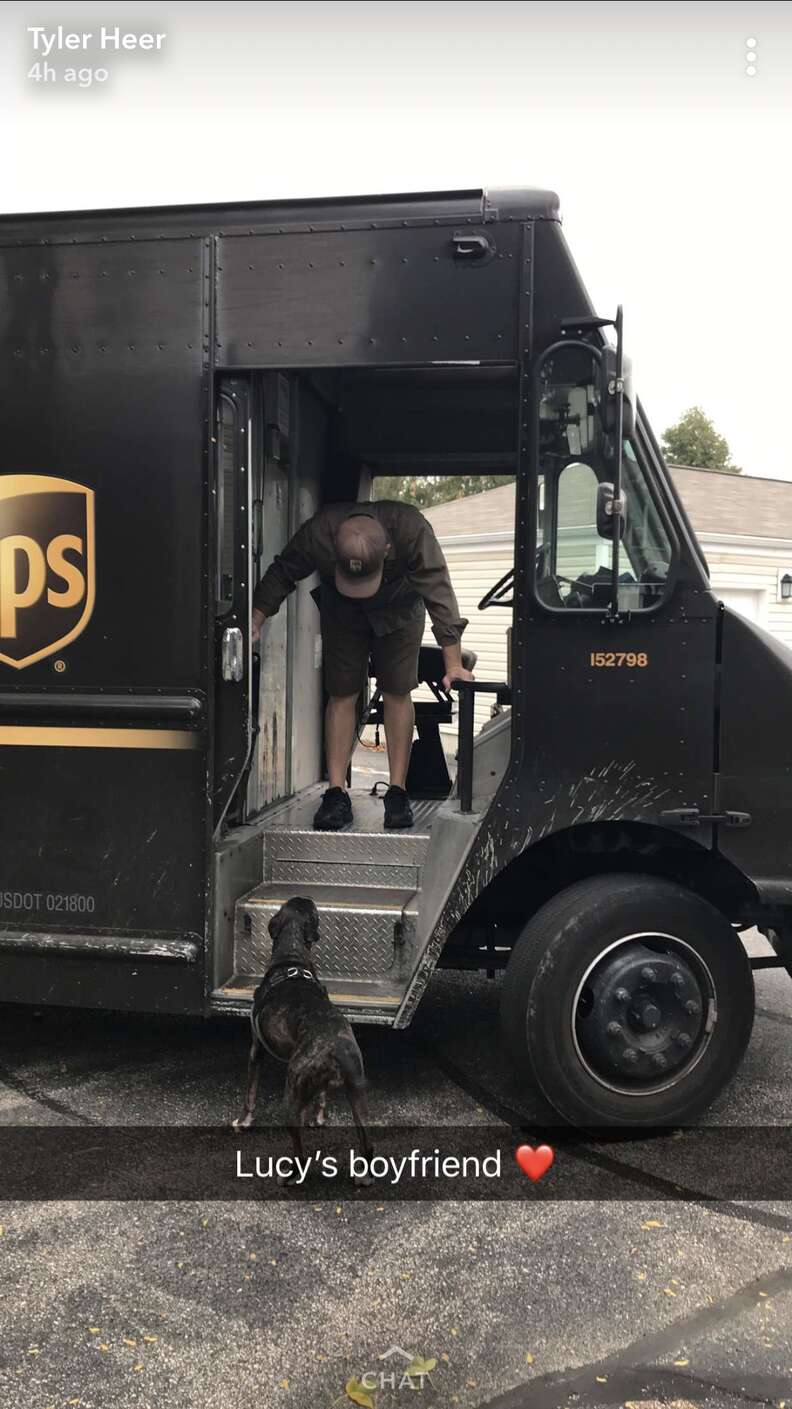 pit bull loves ups guy