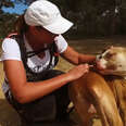 Amazing Program Helps Shelter Dogs And People Through Exercise