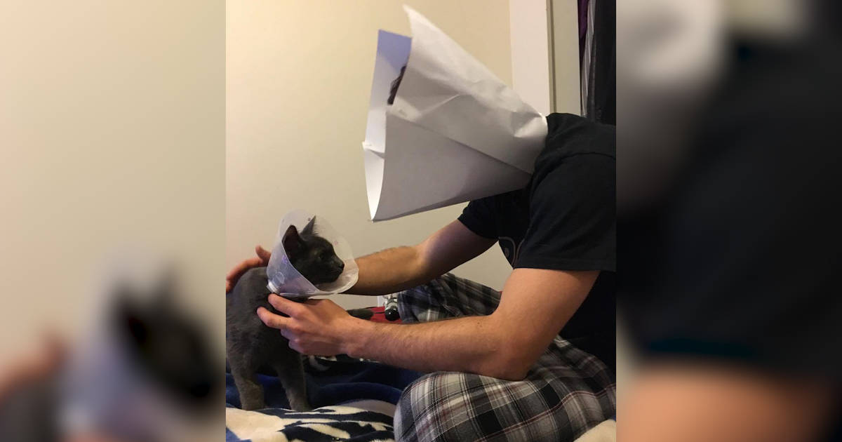 Guy Wears Cone Of Shame So His Kitten Won t Feel Alone The Dodo