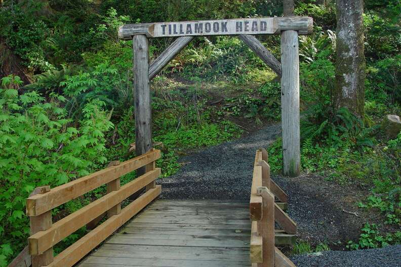 tillamook head