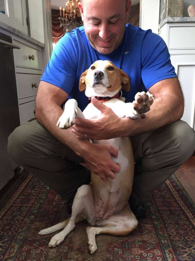 dog chained up with babies