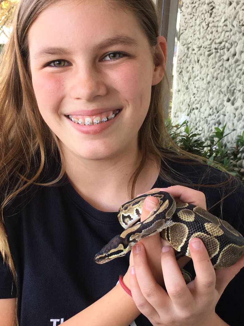 Adopted snake with new person