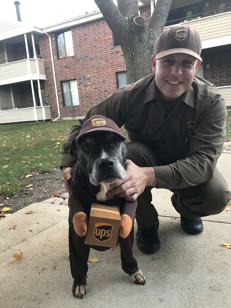 dog loves ups guy