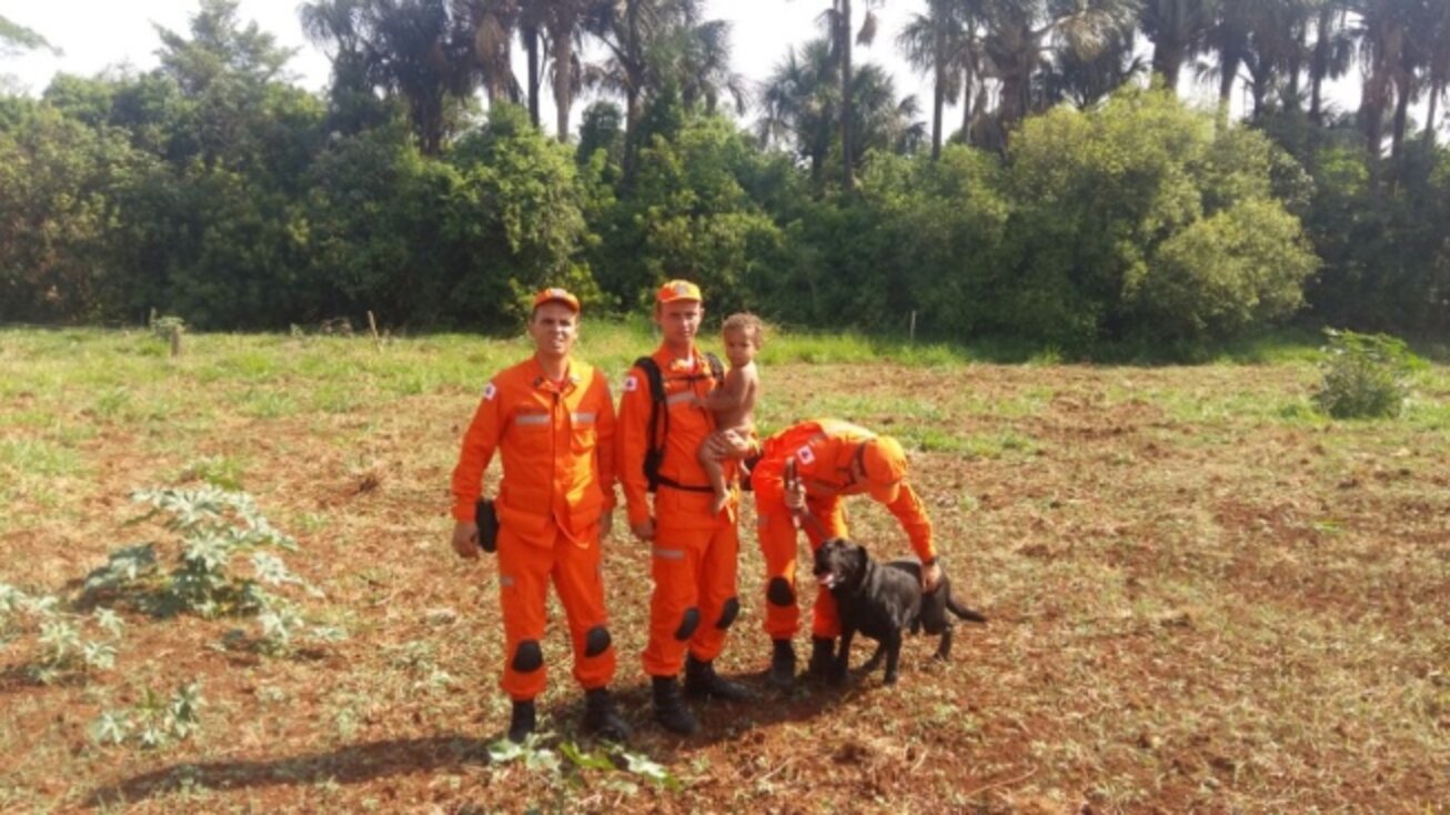 Hero Dog Leads Rescuers To Lost Toddler In Brazilian Jungle - The Dodo