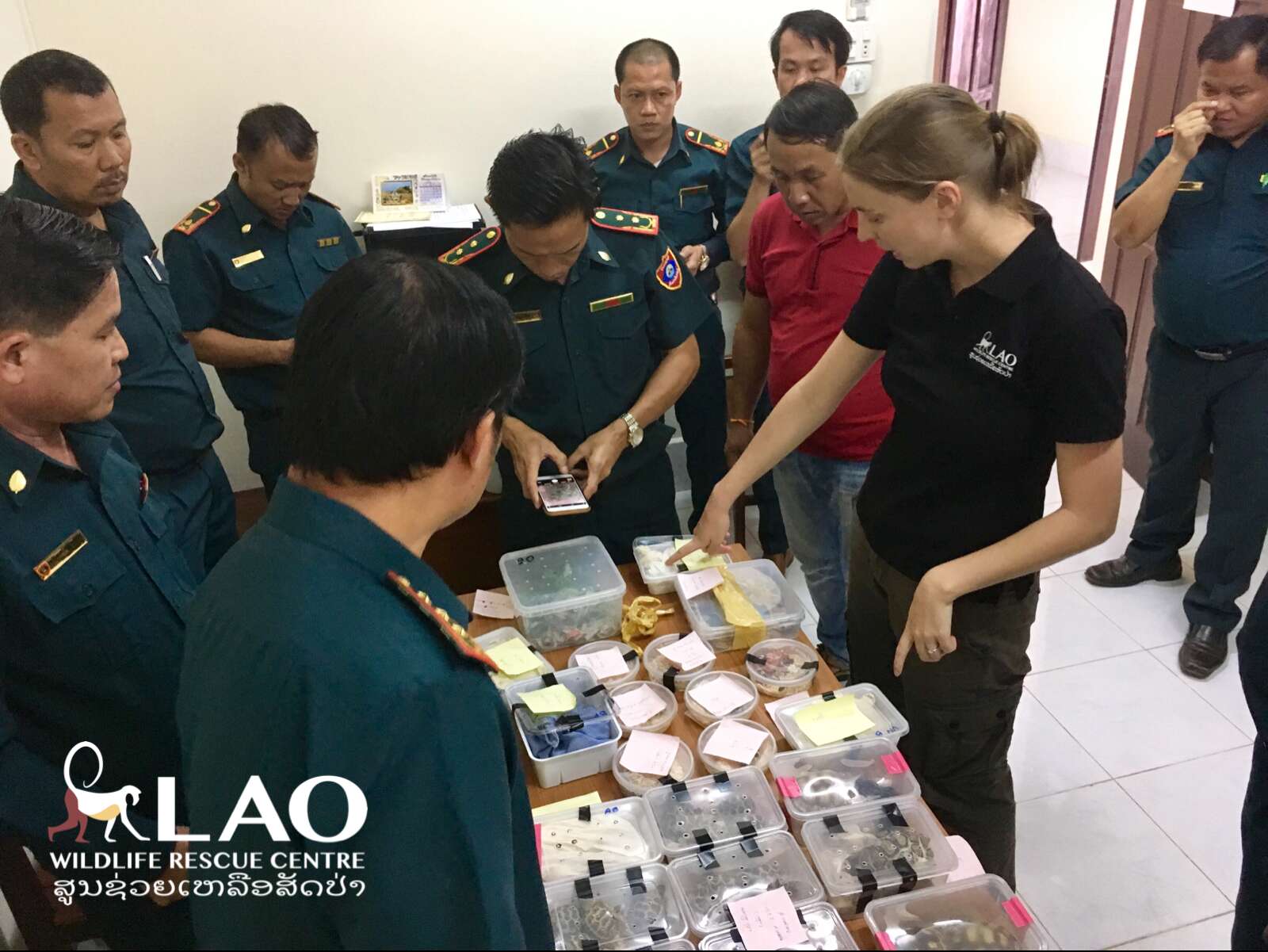 Officials with confiscated animals in boxes