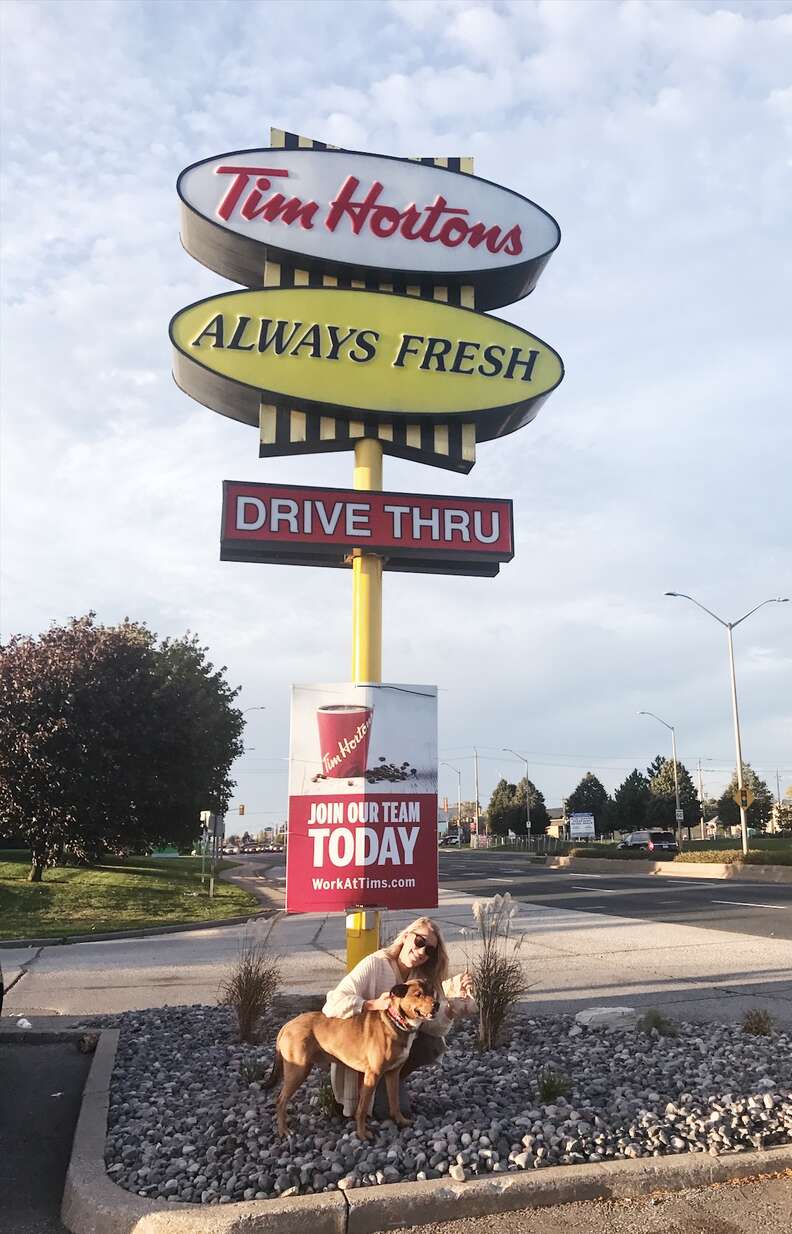 Rescue Dog Goes On First Walk After Spending Life Tied To Pole - The Dodo