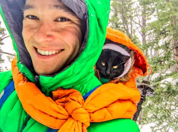 Cat curled up in hood of hiker