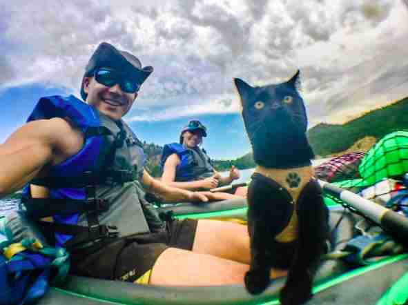 Adventure cat on boat