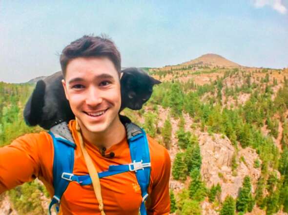 Adventure cat on hike with dad