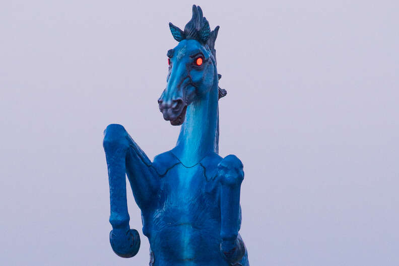 denver airport horse