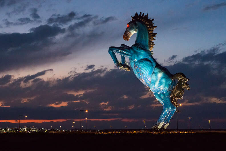 denver airport horse