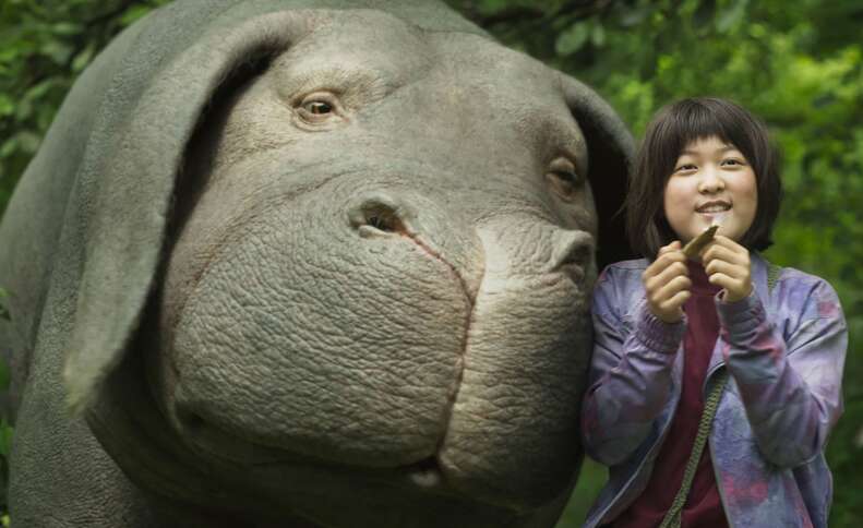 okja 