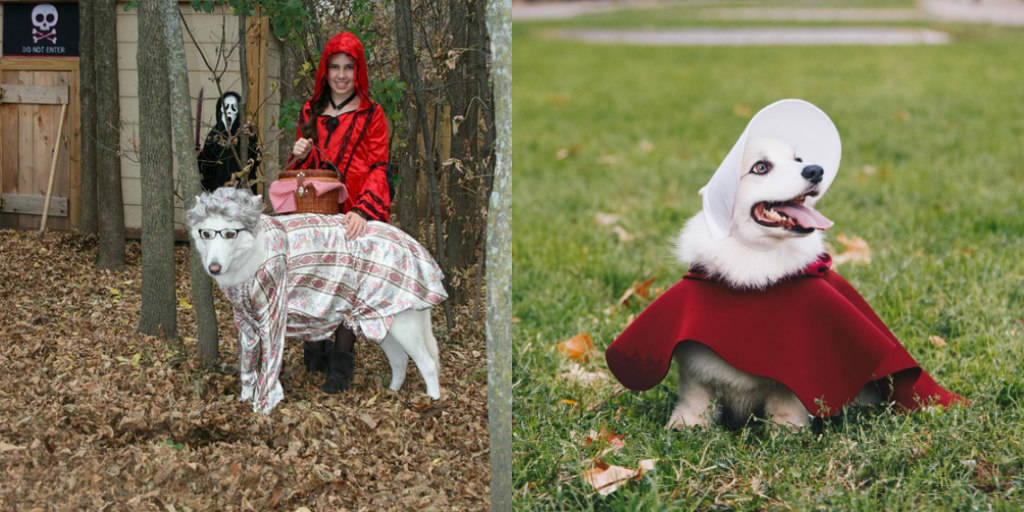 Handmaid's tale hotsell halloween costume dog