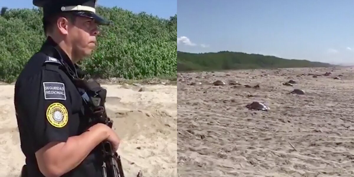 Turtle Shell Police Viral Video: Policeman In Mexico Guards Kemp's Ridley Sea Turtle Nests ...