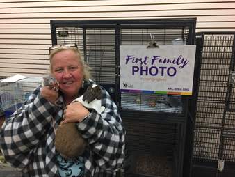 rat and bunny best friends adopted