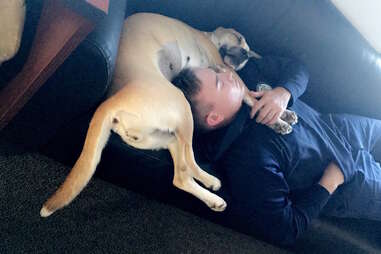 coast guard and dog sleep