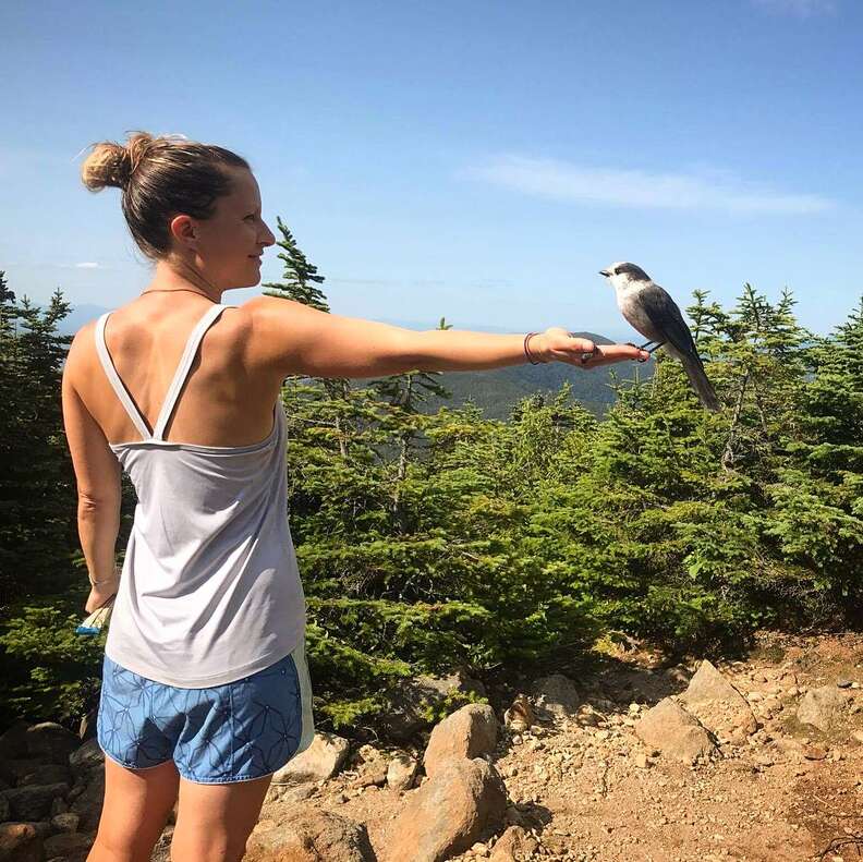 Appalachian Trail hiker with gray jay perched on hand
