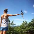 Wild Bird Flies Right Up To Hiker In Disney-Like Moment 