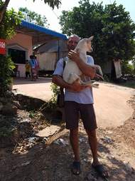 Man holding dog rescued from dog meat restaurant