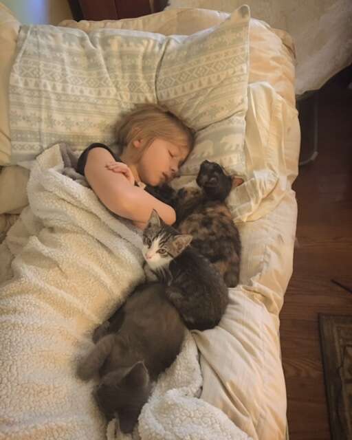 little girl sleeps with kittens
