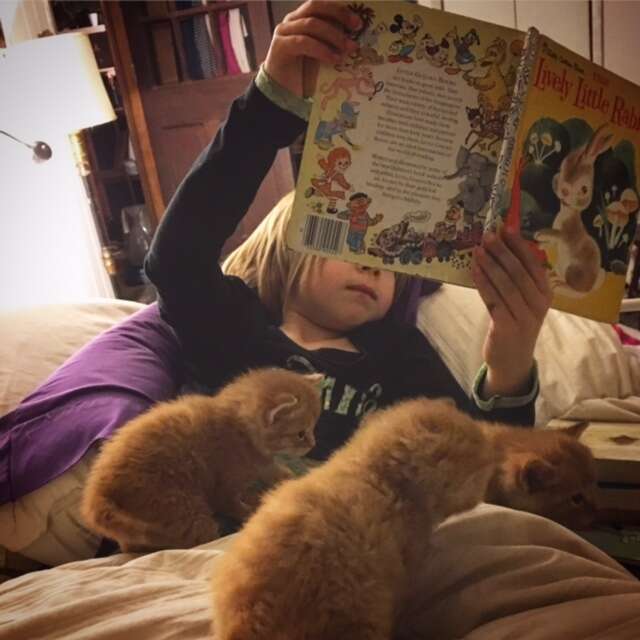 little girl reads to kittens