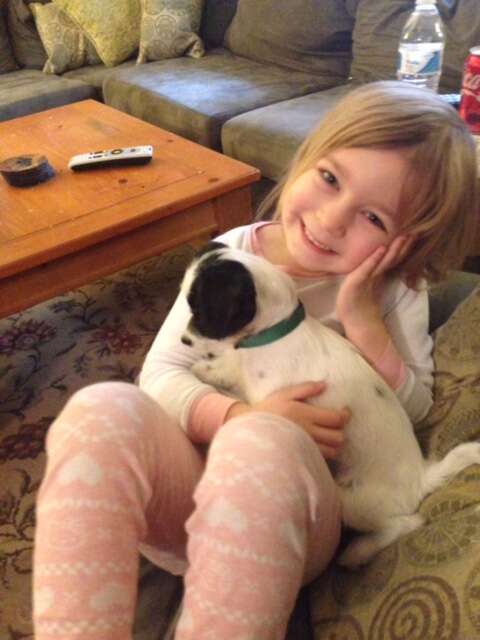 little girl plays with dog