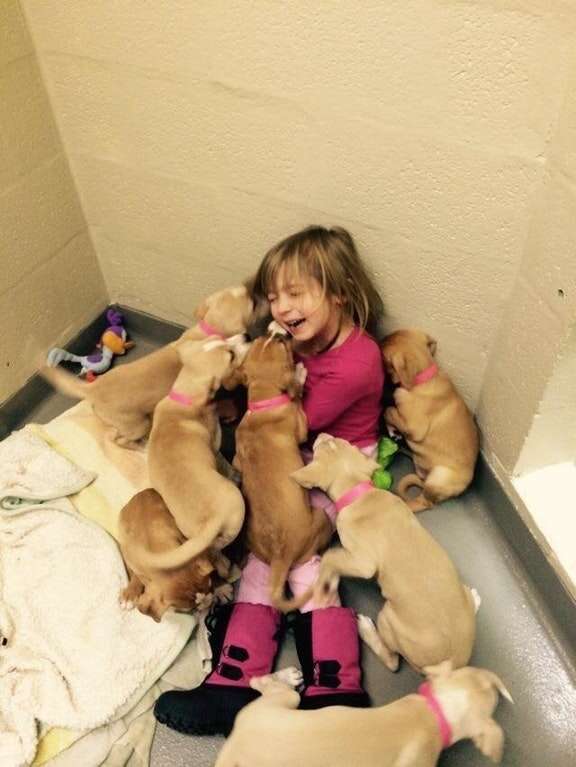 little girl volunteers at a shelter and plays with puppies