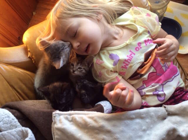 little girl snuggles with kittens