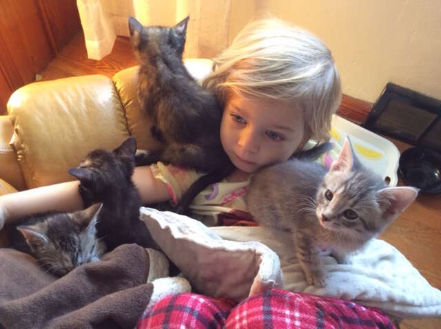 little girl hangs out with kittens