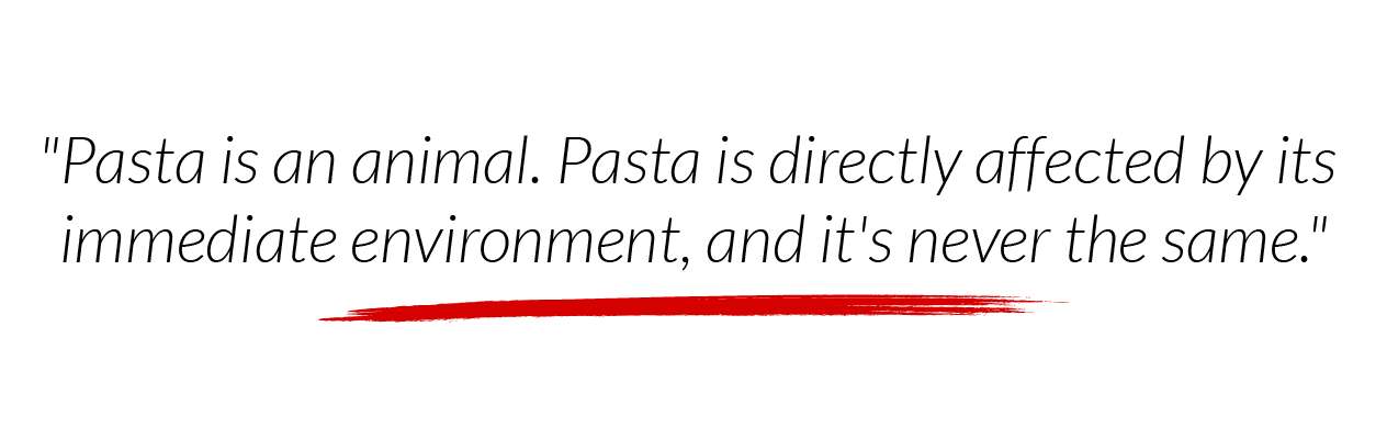 pasta is an animal