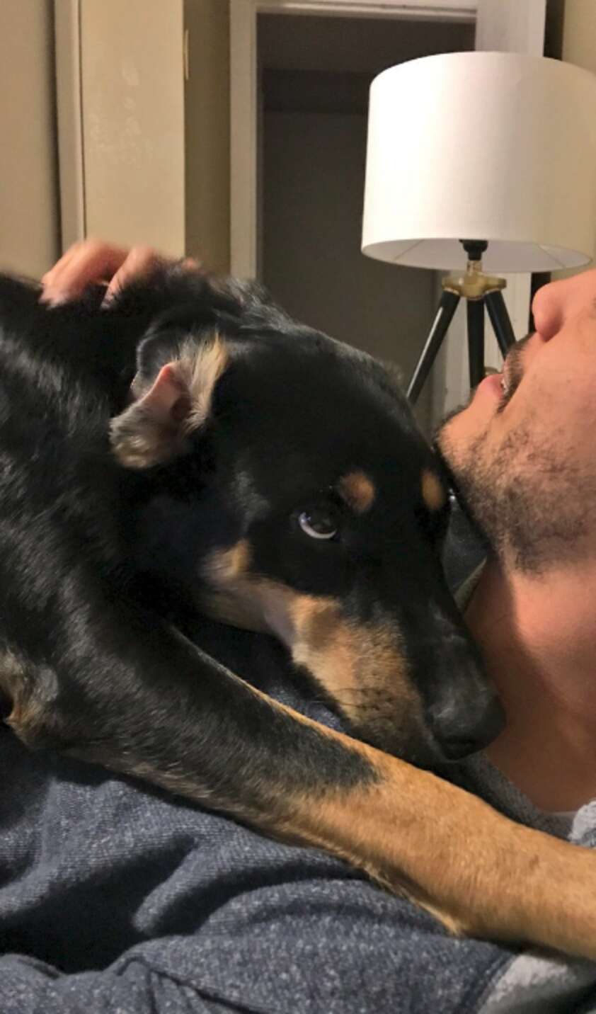 Dog Pretends To Be Sick So His Owner Will Stay Home With Him - The Dodo