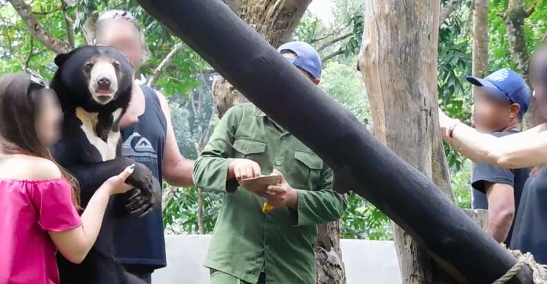 Tourists posing with captive sun bear