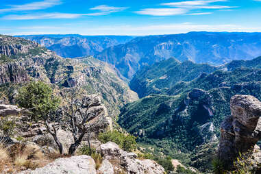 Copper Canyon