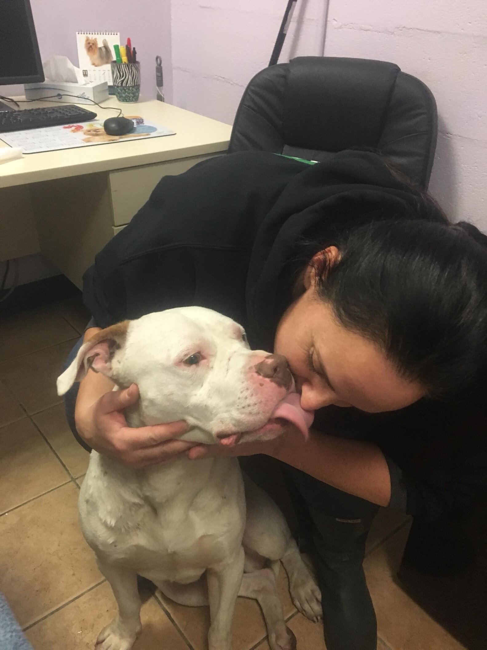 Coyotes Let Lost Dog Join Their Pack For A Year The Dodo