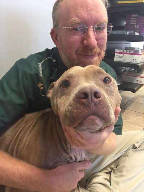 Vet snuggling with dog he rescued