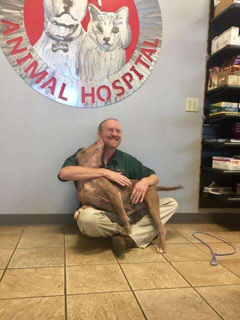 Dog kissing the vet who saved his life
