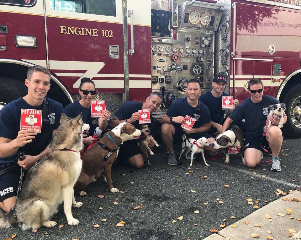 Firefighters posing with shelter dogs in front of fire truck