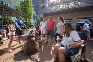 barleygarden
