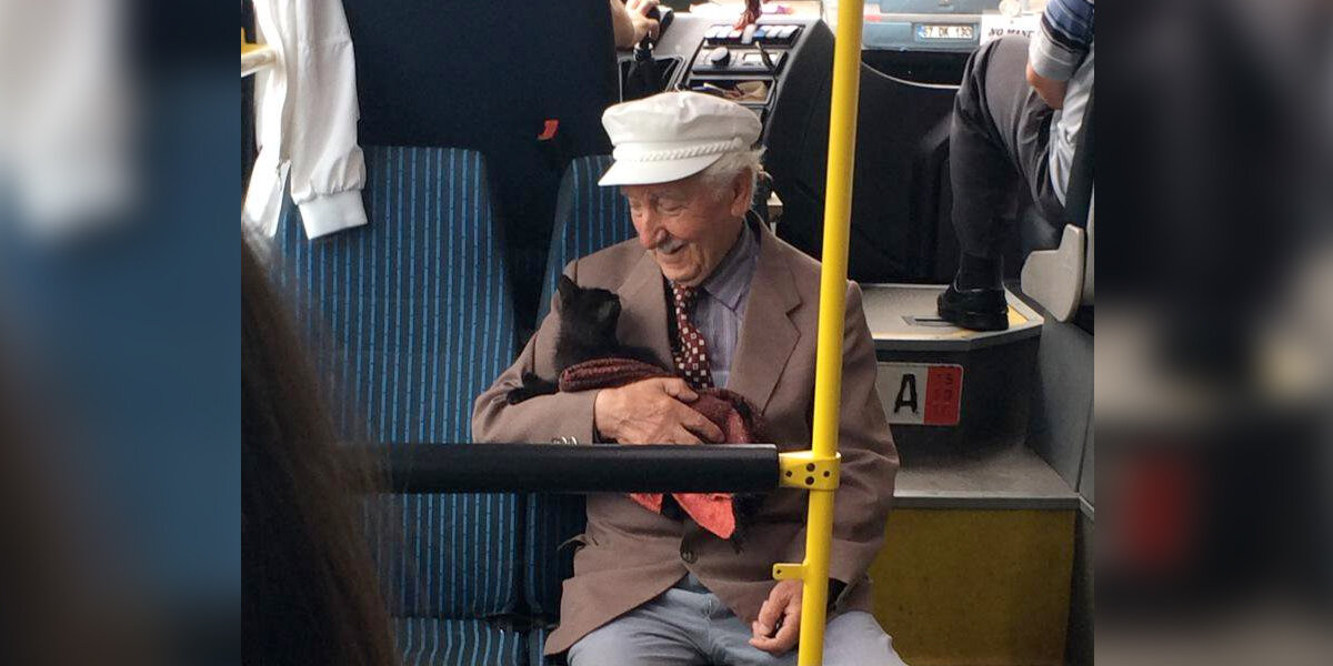 Sweet Photo Of Old Man And Kitten Riding The Bus Goes Viral - The Dodo