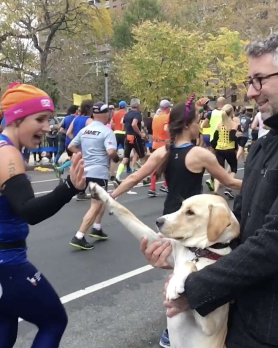 marty dog gives high fives marathon