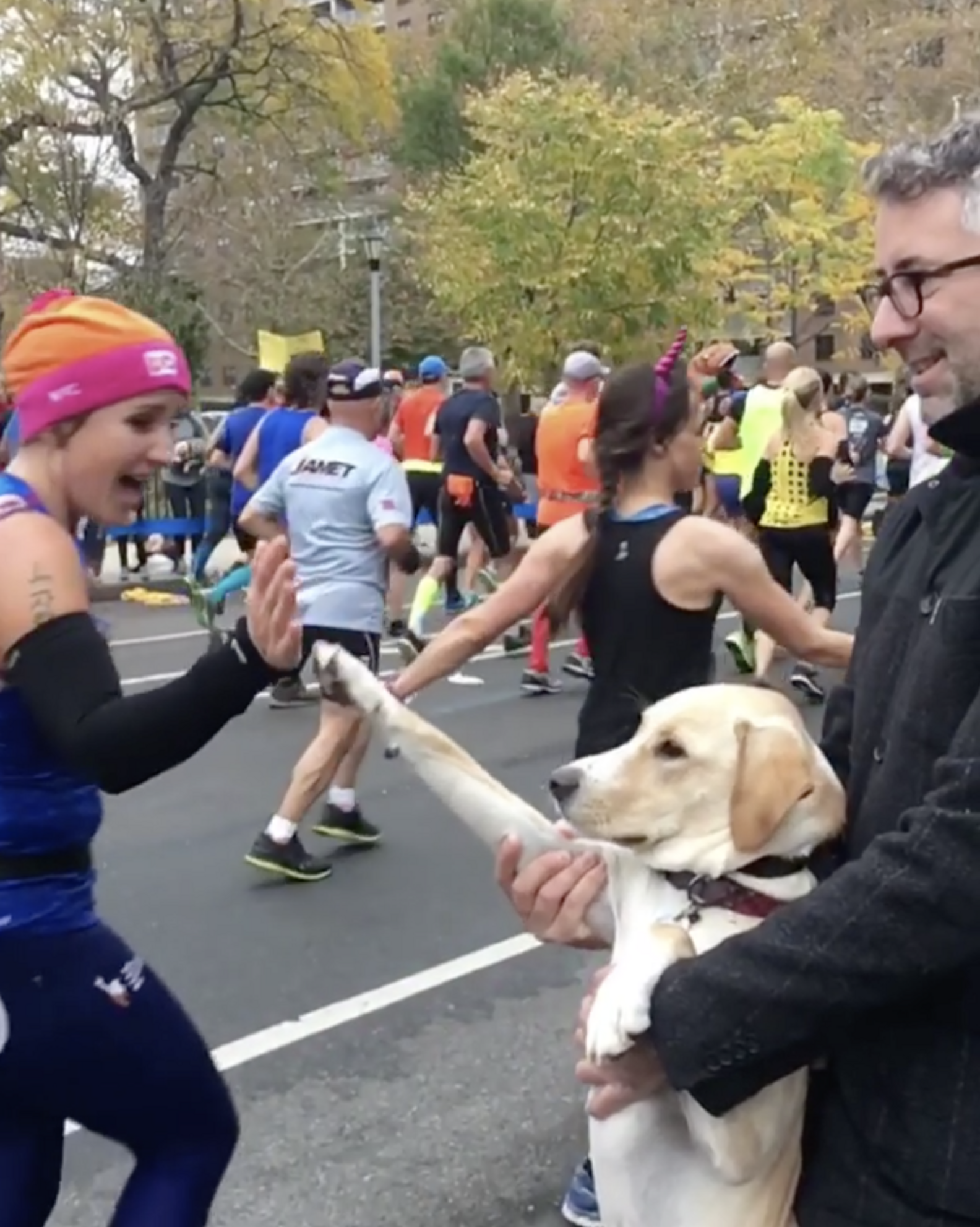 Dog HighFiving Runners At The New York City Marathon Is Too Cute The